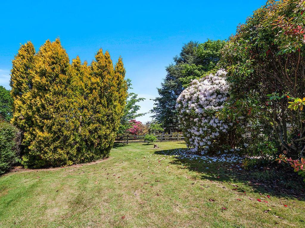 Te Kopua - Acacia Bay Holiday Home Taupo Eksteriør billede